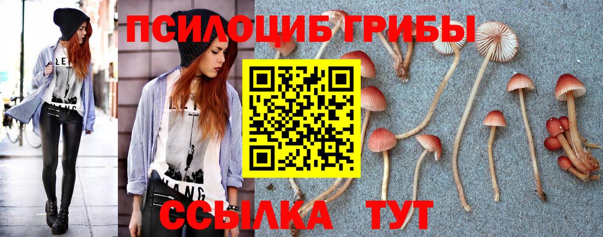 Псилоцибиновые грибы GOLDEN TEACHER Серов