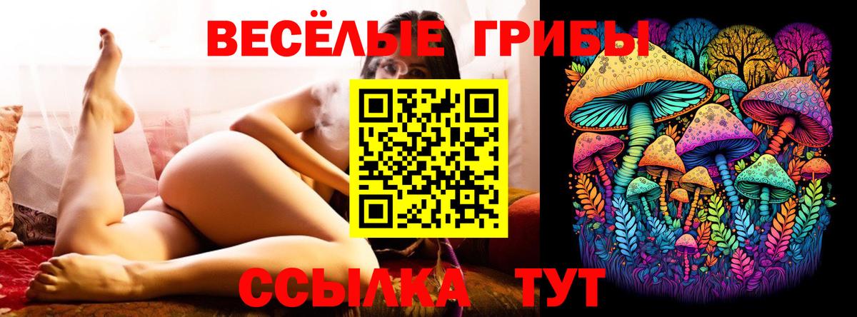 Серов  Псилоцибиновые грибы Cubensis  Вход с VPN  сколько стоит  Галлюциногенные грибы мицелий 